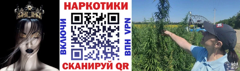 Купить наркотики Балашиха СК  Кокаин  МЕФ  Гашиш 