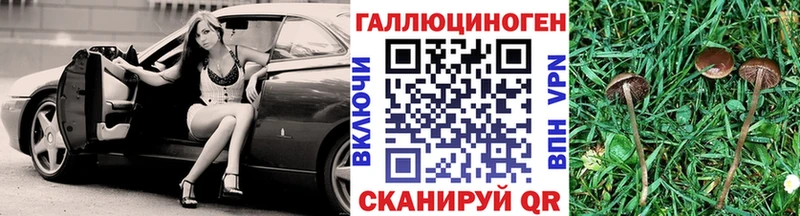 МЕГА онион Балашиха Псилоцибиновые грибы мухоморы как найти закладки